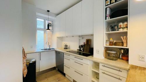 Apartmentincopenhagen Apartment 1484