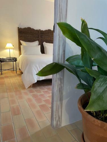 Hostal El Amante Suites - Only Adults