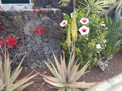 Apartamento Rocas Del Mar Sur