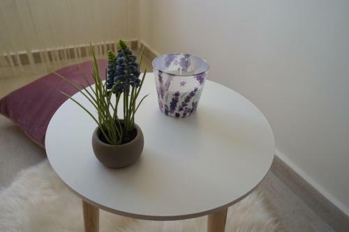Hostal Cseng? Vend�gh�z