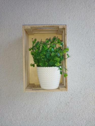 Hostal Cseng? Vend�gh�z