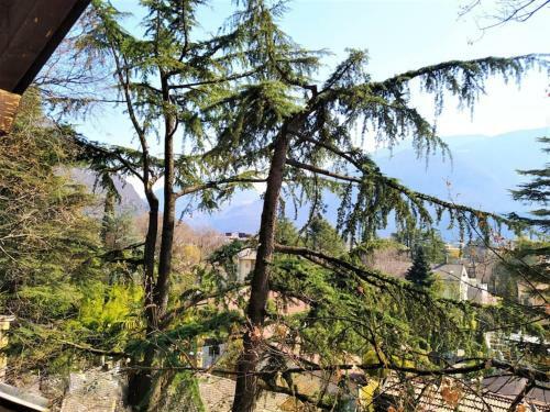Torre Home - Casa A Bolzano Con Giardino Privato