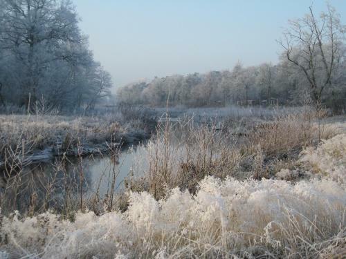 Villa Natuurlogies Buurse Buiten