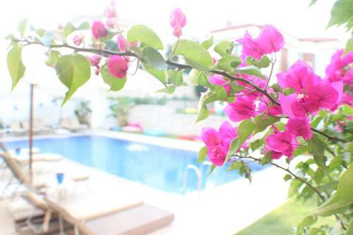Hotel S�reyya Han?m Butik Otel