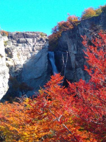 Lodge Caba�as Austral