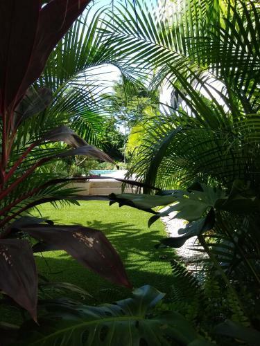 Hotel Palm Beach Inn