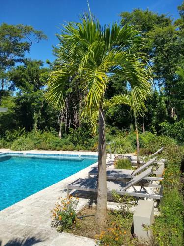 Hotel Palm Beach Inn