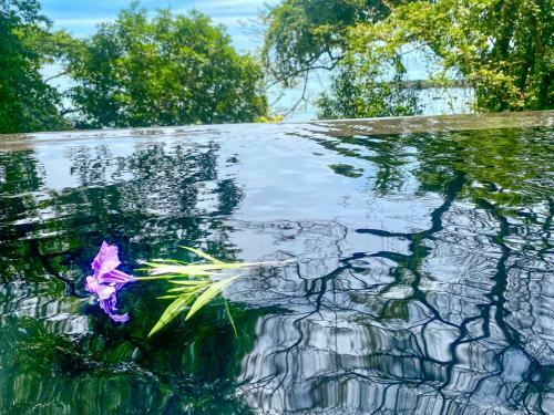 Saboga - Spectacular Ocean View - Villa Coral Cove