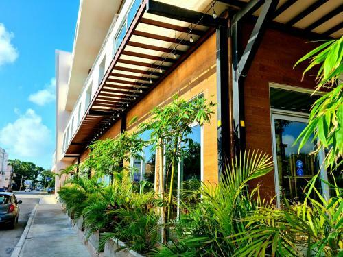 Apartamento Discover Playa Del Carmen From The Gallery By Sol-ha