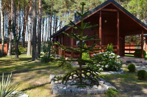 Domki Pod Wydmami 40m Od Pla?y