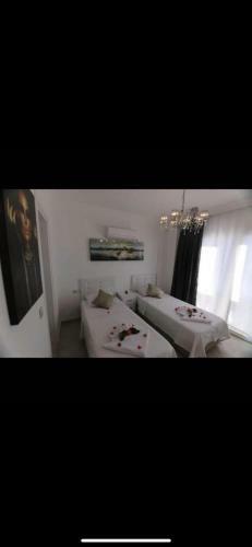 Apartamento Villa Caretta Caretta