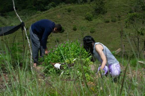 Agroturismo Retiro Espiritual Pl�yades
