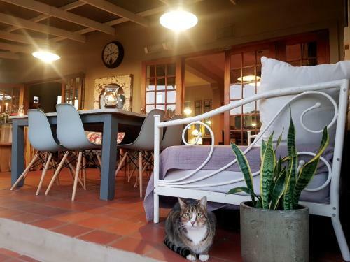 Matisses Apartments