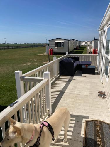 Caravan Skegness Gb 148
