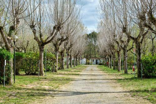 Camping La Chiocciola
