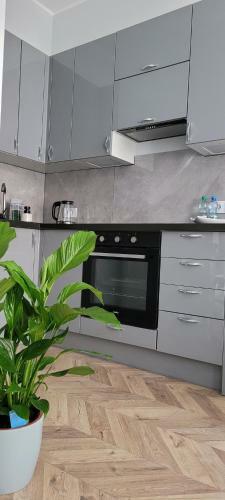Apartament Srebrny