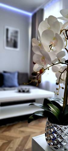 Apartament Srebrny