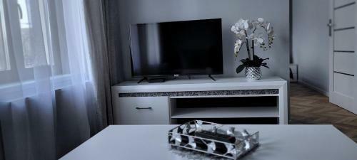 Apartament Srebrny