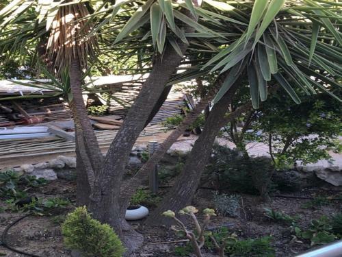 Apartamento Old Cape On The Marina - De Pond : Unit 6