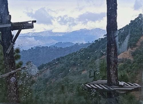 Bed & Breakfast Woods Villa Kasauli