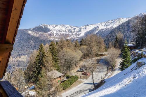 Groot 10 Pers Ski-in Chalet Met Openhaard En Garage