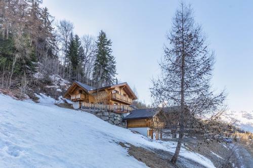 Groot 10 Pers Ski-in Chalet Met Openhaard En Garage
