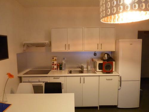 The Modern Apartment