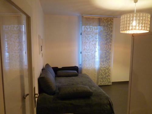 The Modern Apartment