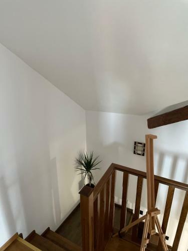 Norderney Apartments