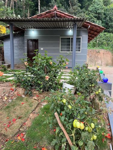 Darshan's Home Stay