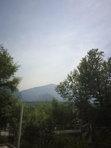 The Laila?s Homestay