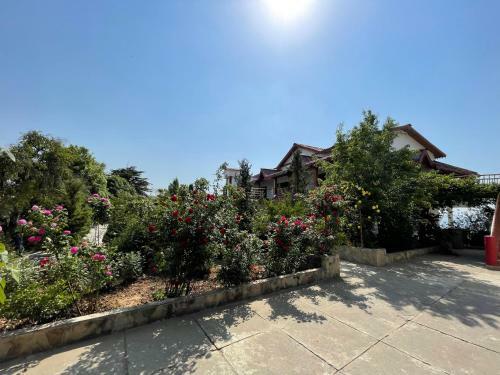 Hotel Shri Shail Inn