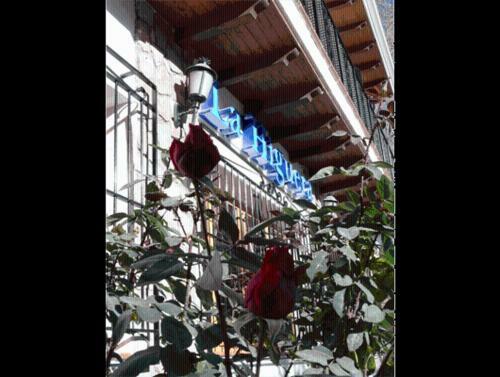 Hotel La Higuera