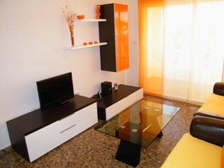 Apartamentos Milenio