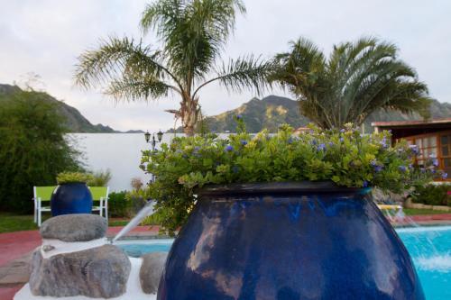 Hotel Alojamientos El Tejado