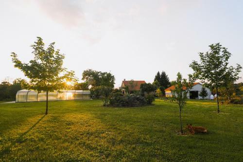 Quinta Dos Manteiros Com Piscina Coberta