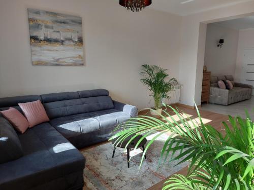 Apartament Ma?y Amfiteatr