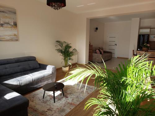 Apartament Ma?y Amfiteatr