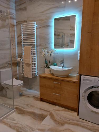 Apartament Ma?y Amfiteatr