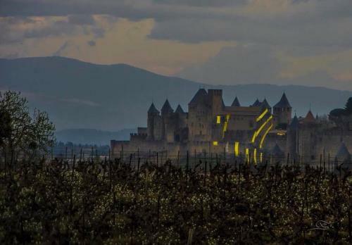 Apartamento Appartement D'une Chambre Avec Wifi A Carcassonne