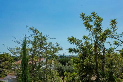 Apartamento Casa Julie At Opomar By Cara Rentals