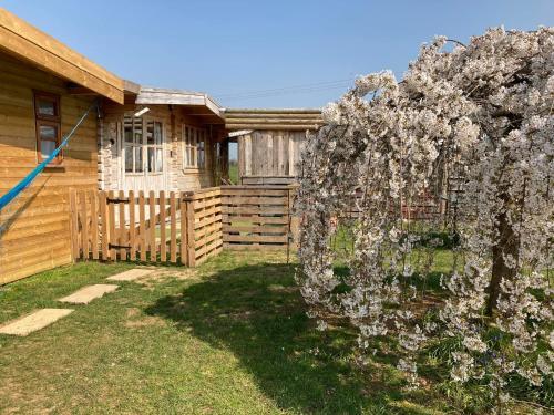 Hostal The Retreat