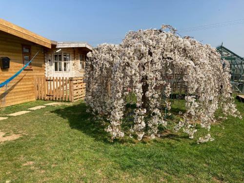 Hostal The Retreat
