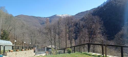 Hostal Borgata Lirola