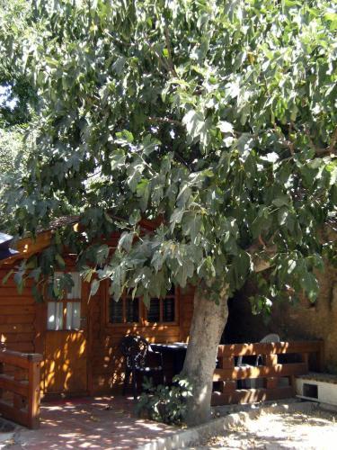 Camping Reina Isabel