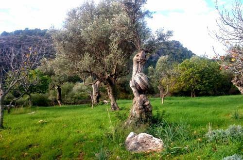 Es Castell