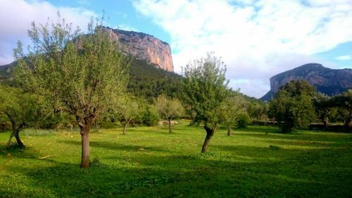 Es Castell