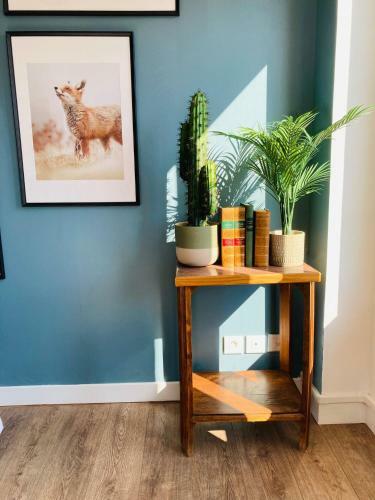 Apartamento Charmant Appartement