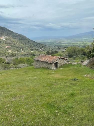Casa �rbol