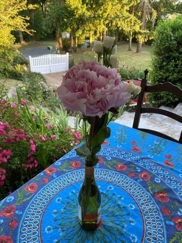 Grande Maison Avec Jardin Arbor�